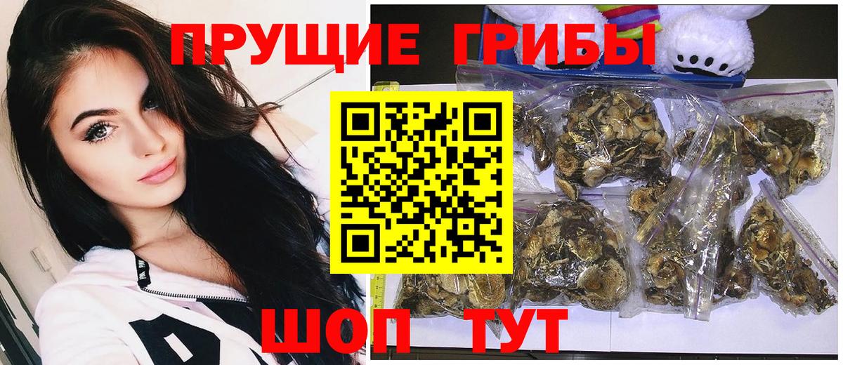Галлюциногенные грибы Magic Shrooms Донской