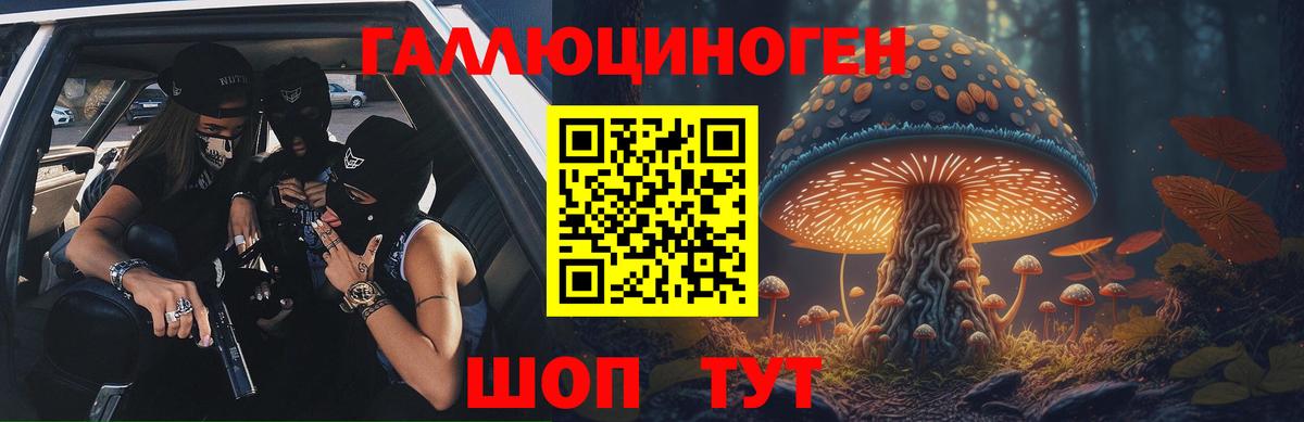 Донской  Галлюциногенные грибы MAGIC MUSHROOMS  Вход с VPN 